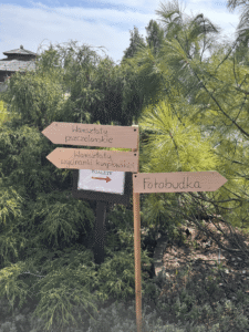 Projekt bez nazwy (15)