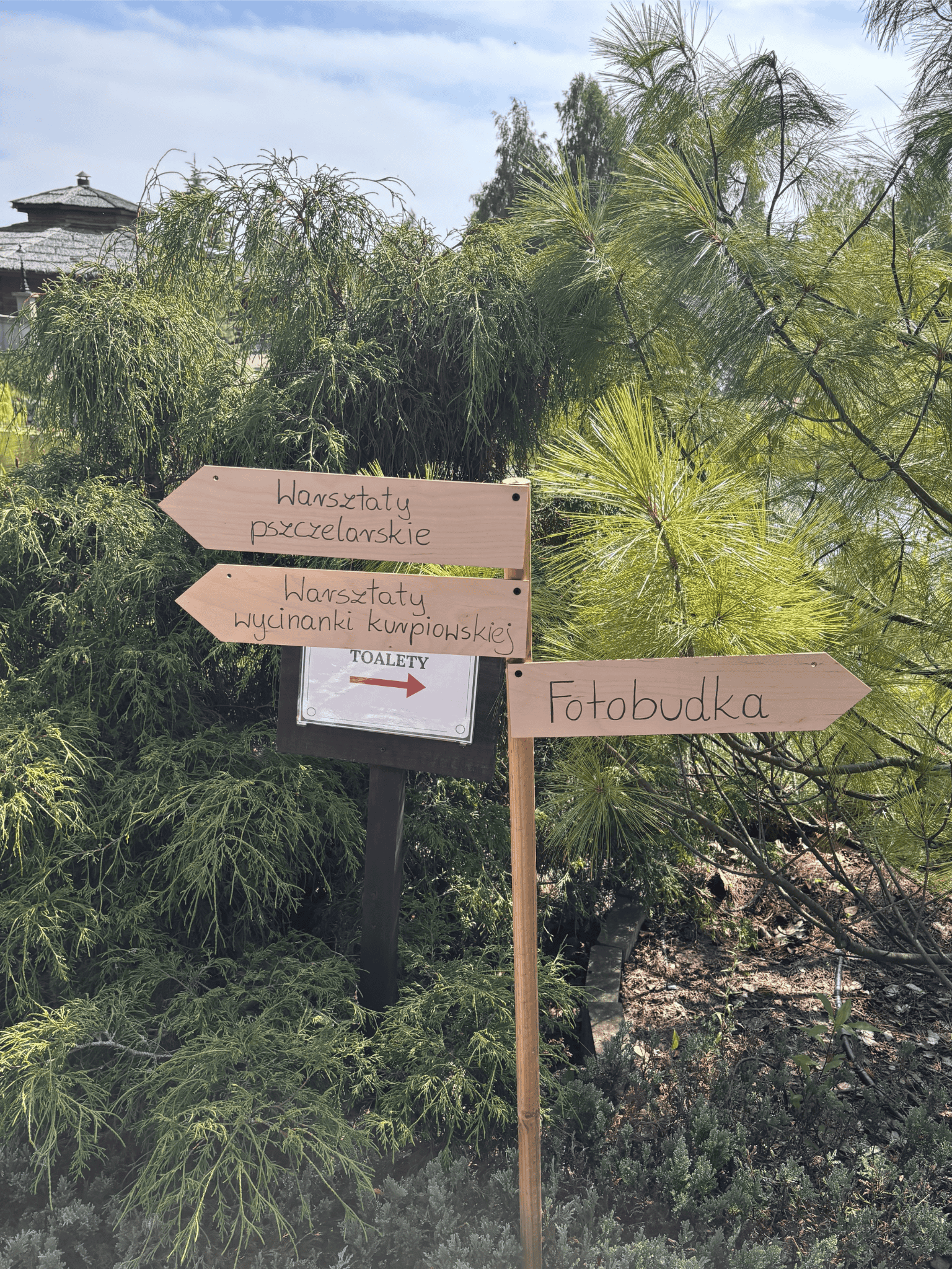 Projekt bez nazwy (15)